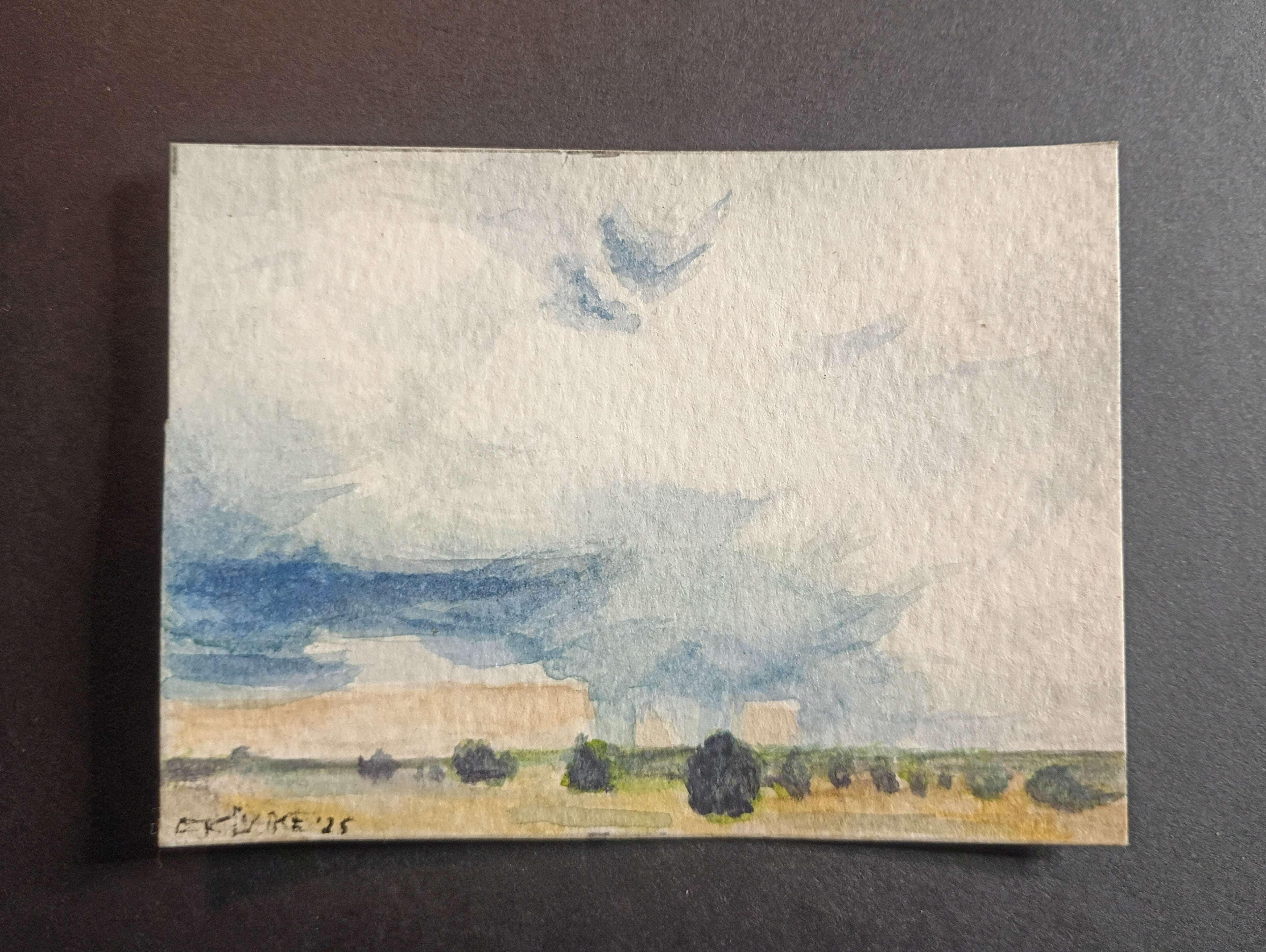 Plein Air Workshop | June 28th | 2 - 3:30pm